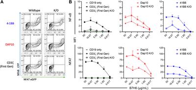 Toward high-throughput engineering techniques for improving CAR intracellular signaling domains